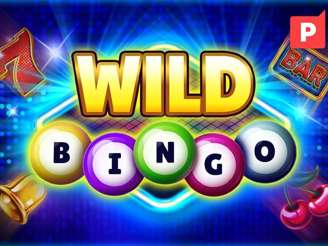 gtwin bet Bingo Selvagem